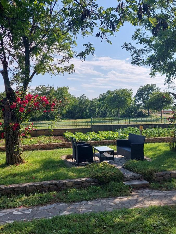 Agrotourism Galic Krka Hotel Drinovci Екстериор снимка
