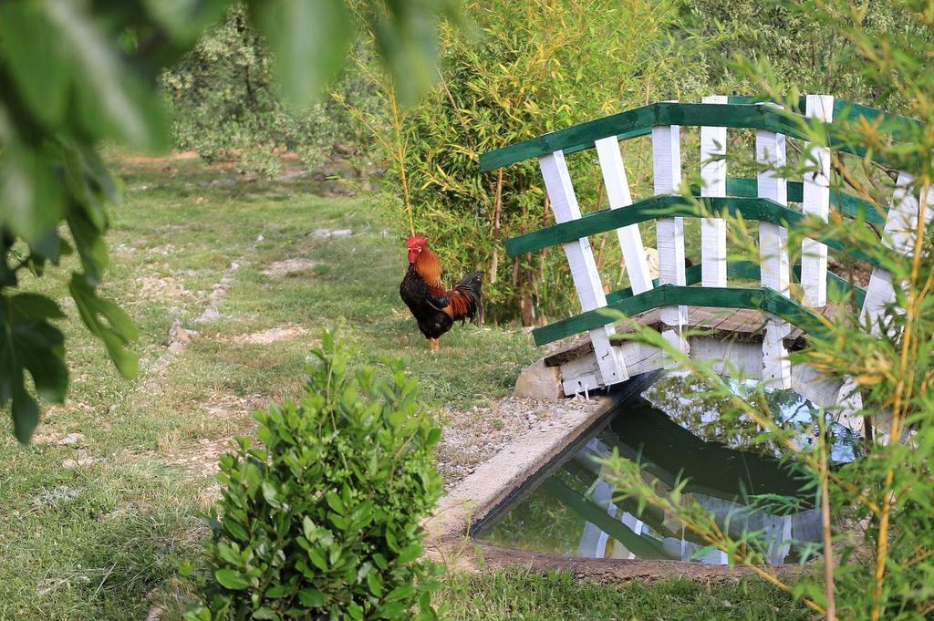 Agrotourism Galic Krka Hotel Drinovci Екстериор снимка