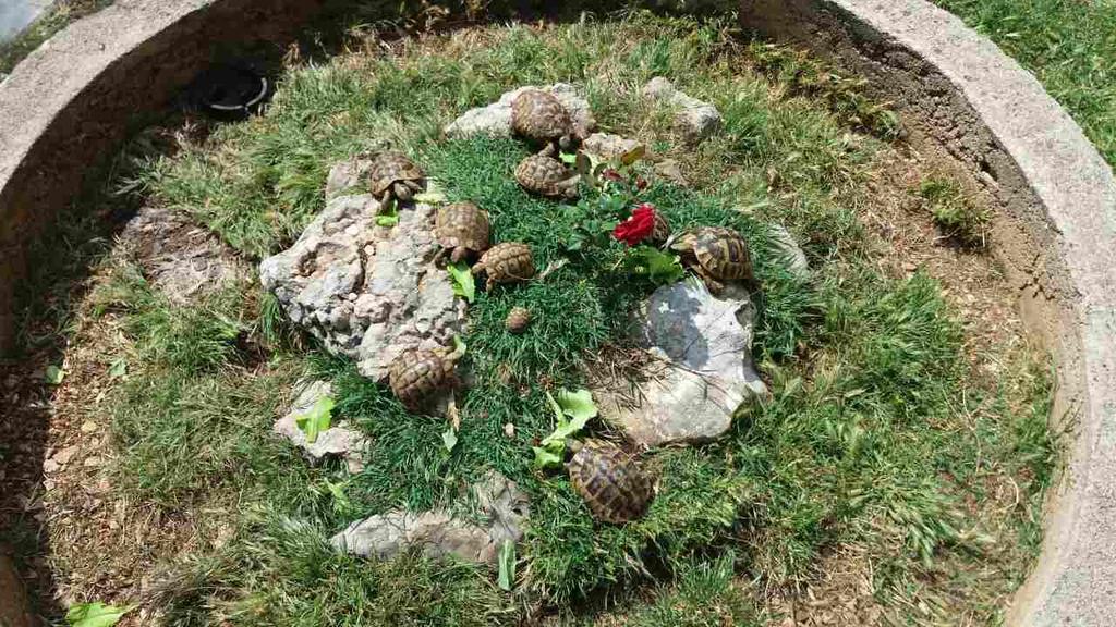 Agrotourism Galic Krka Hotel Drinovci Екстериор снимка